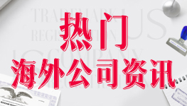 熱門海外公司資訊